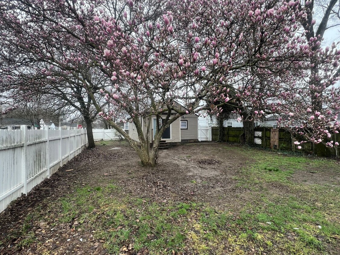 Primary Photo - 2531 Howey Rd