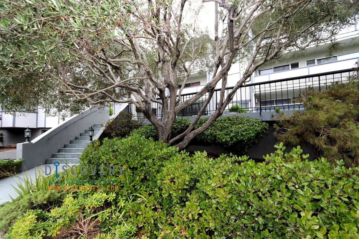 Primary Photo - Pending! Centrally Located Contemporary Condo