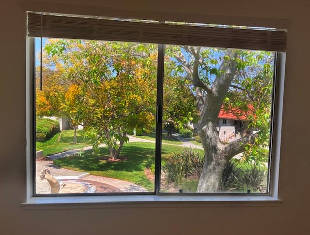 View from living room - 31504 W Nine Dr