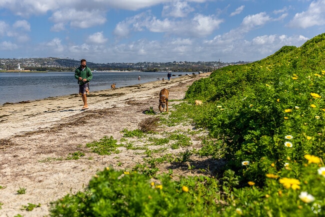 A man enjoys an off leash dog park at Fiesta Island near Bay Park.