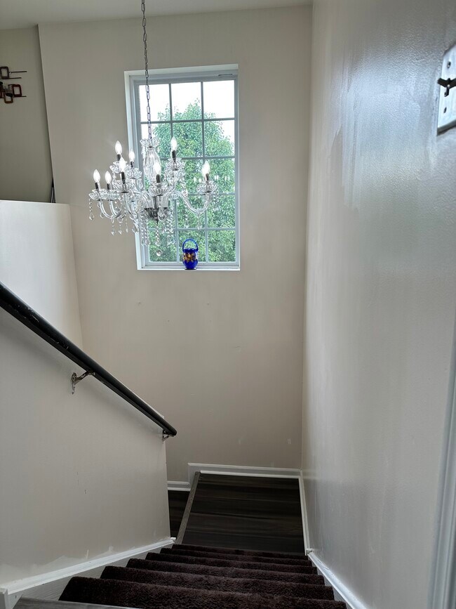 Foto del edificio - 606 Declaration Ln