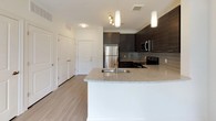 This well-appointed 1-bedroom, 1-bathroom unit combines modern design with functional living across a single floor. The kitchen is a standout feature, showcasing dark wood cabinetry, granite countertops, a subway tile backsplash, and a full suite of stainless steel appliances including a refrigerator, electric range, and built-in microwave. A peninsula with an undermount sink and pendant lighting adds both style and versatility, flowing seamlessly into the living area. Light wood-style flooring runs throughout the main living spaces, complementing the clean, contemporary aesthetic. The living area benefits from a sliding glass door that opens to a balcony, offering serene views of lush, green surroundings and filling the space with natural light. The bedroom is generously sized, featuring plush carpeting, a ceiling fan, and a large multi-pane window that frames peaceful outdoor scenery. The bathroom is finished with large-format tile flooring, a granite-topped dark vanity, a tub-shower combination, and direct access to a spacious walk-in closet with built-in shelving. The overall ambiance is bright, clean, and contemporary, offering a comfortable and thoughtfully designed living environment.