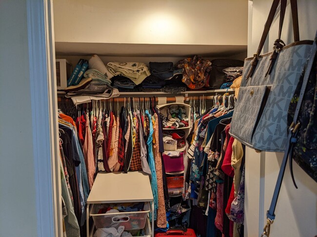 walk in closet - 111 Wales Avenue