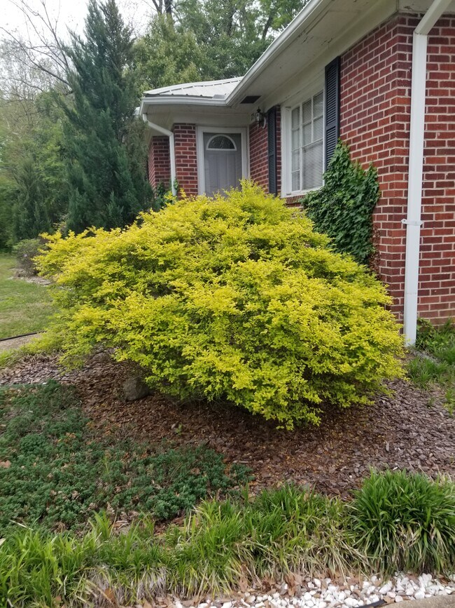 Building Photo - 275 W Leavell Woods Dr