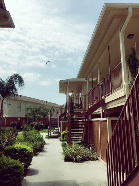 Building Photo - Forest Palm Apartments