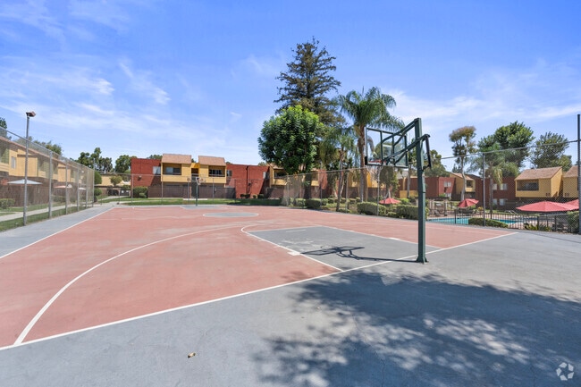Cancha de baloncesto - Brookhollow
