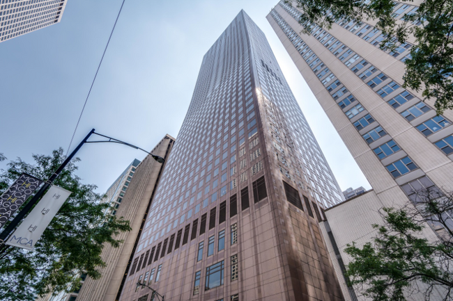 Foto del edificio - 161 E Chicago Ave