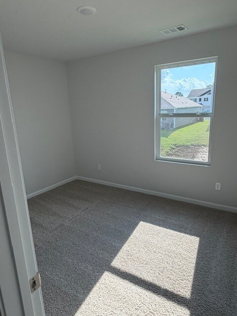 Foto del edificio - 5441 Conifer Ln
