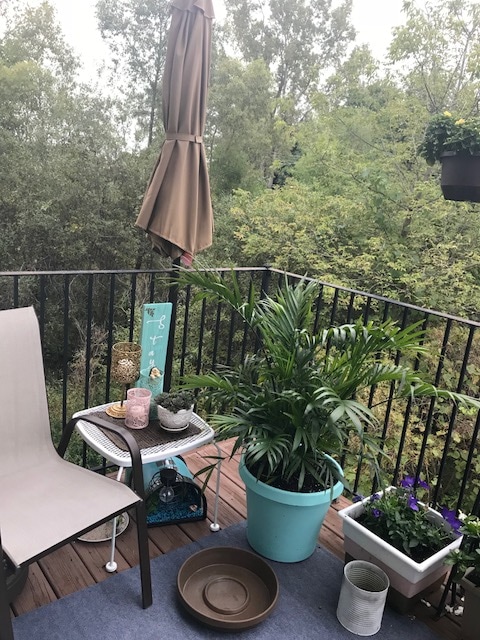 Foto del edificio - 2149 Knotty Pine Tr