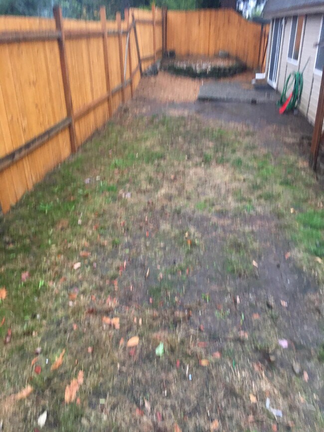 Back yard - 14317 NE 7th Pl