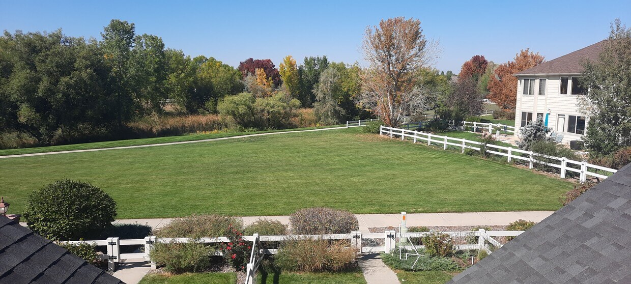 152 Bayside Cir, Windsor, CO 80550 Townhome Rentals in Windsor CO