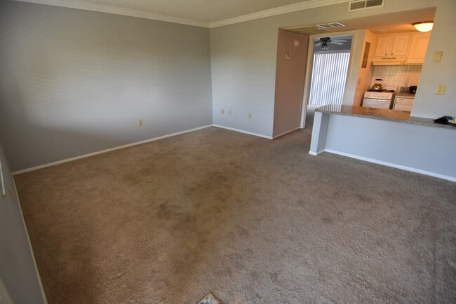 Photo - 1 Bed/1 Bath - Waterside at Cranes Roost Apartment