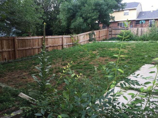 Back Yard - 7950 E Bethany Pl