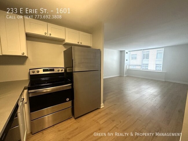 Photo - 233 E Erie St Apartment