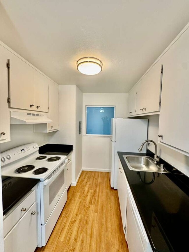Building Photo - 481 Ignacio Blvd