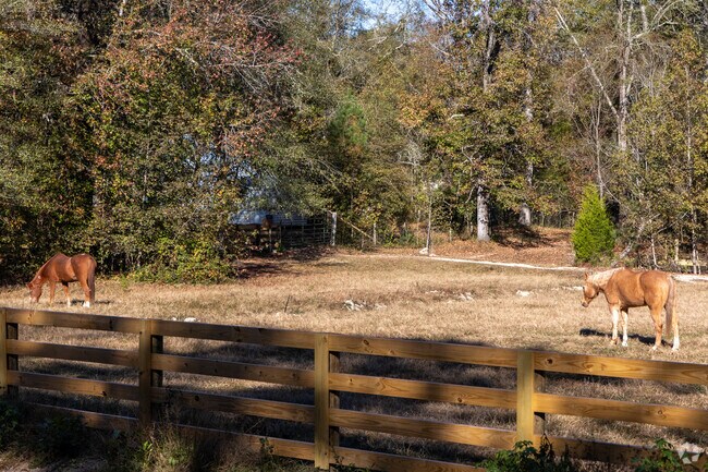 Sharpsburg countryside features livestock amid scenic views.