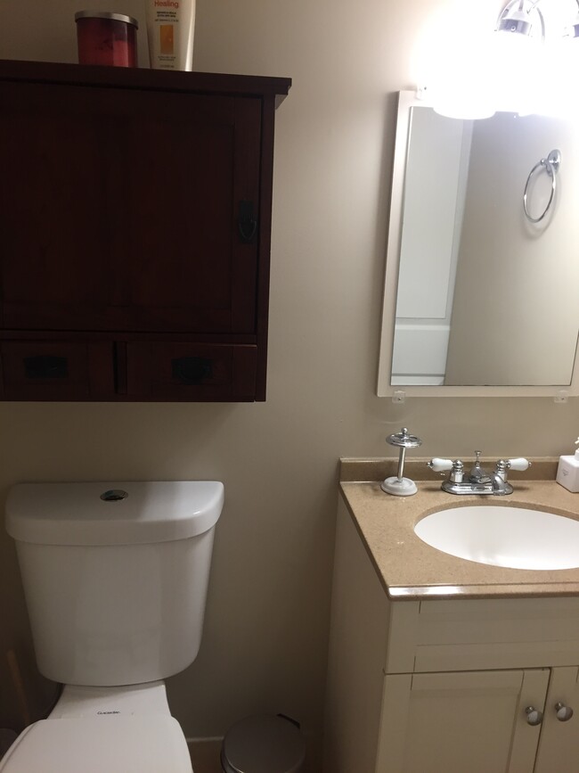 bathroom with storage below sink and in above-toilet cabinet - 43 Girard St. NE