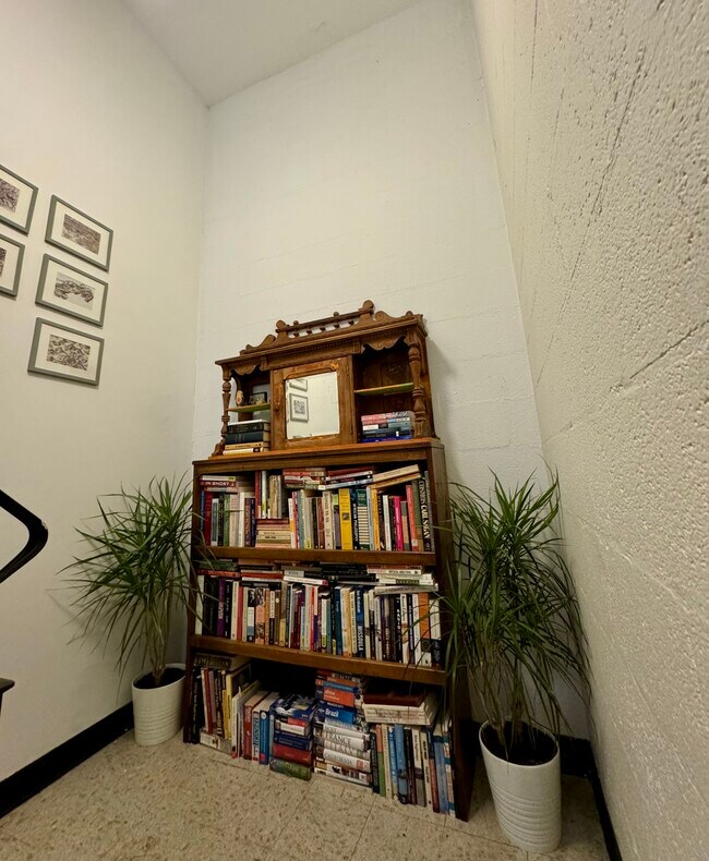 Foto del edificio - 212 Giles St Furnished Free Parking