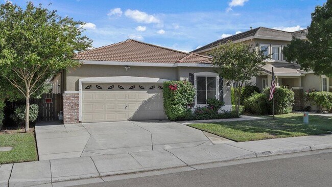 Building Photo - 2477 Veneto Ln