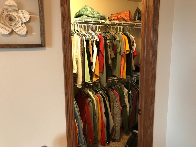 Closet - 1338 E Clark St