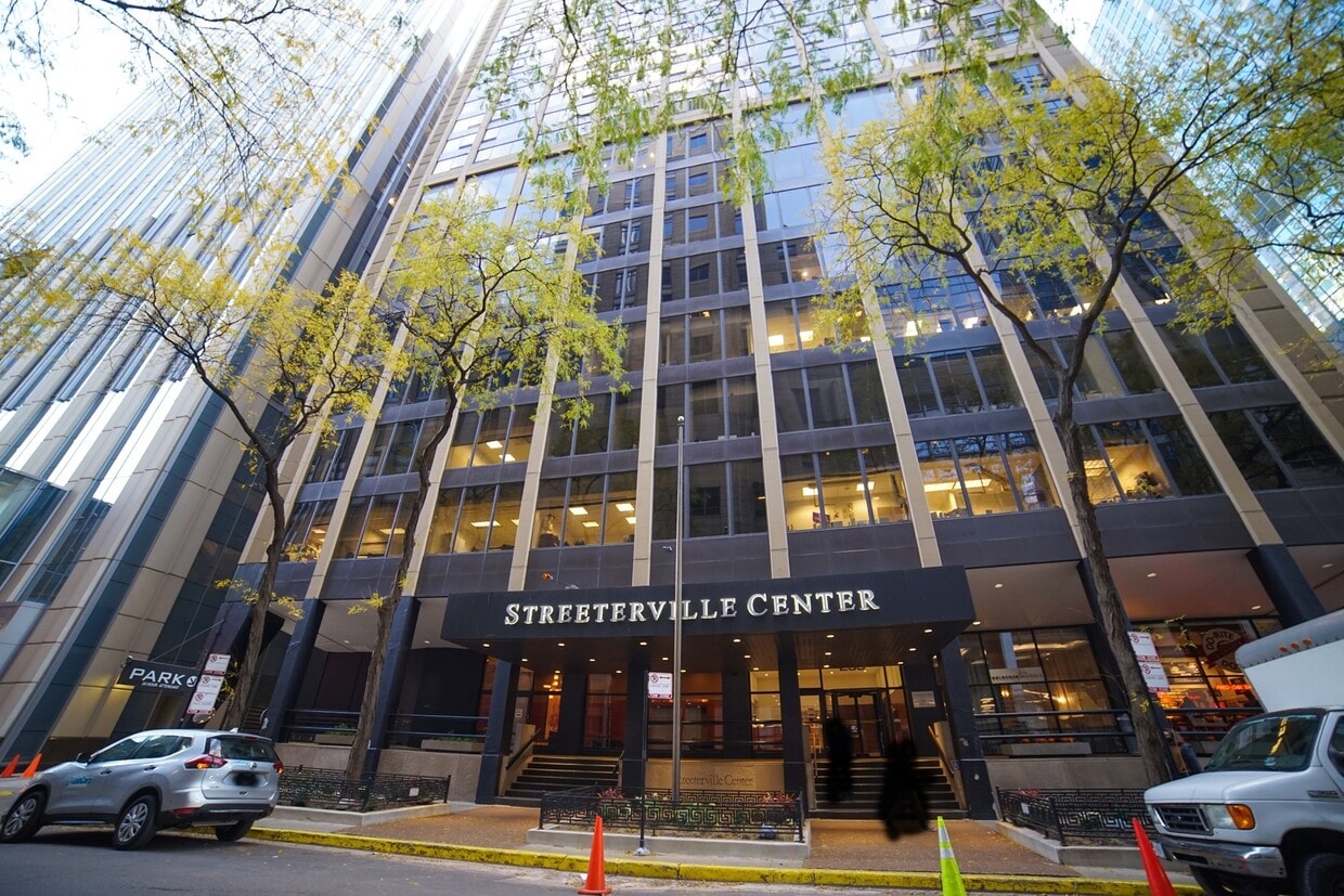 233 E Erie St Unit 1208, Chicago, IL 60611 Condo for Rent in Chicago