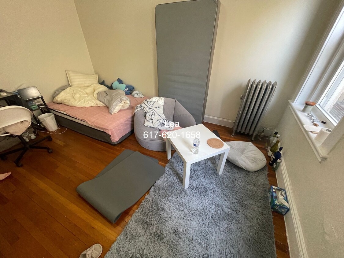 Foto principal - NO FEE***SEPT Cozy studio in Allston! Stud...