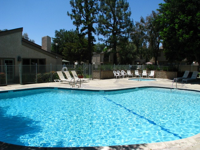 Sparkling Pool - Springtree Apartments