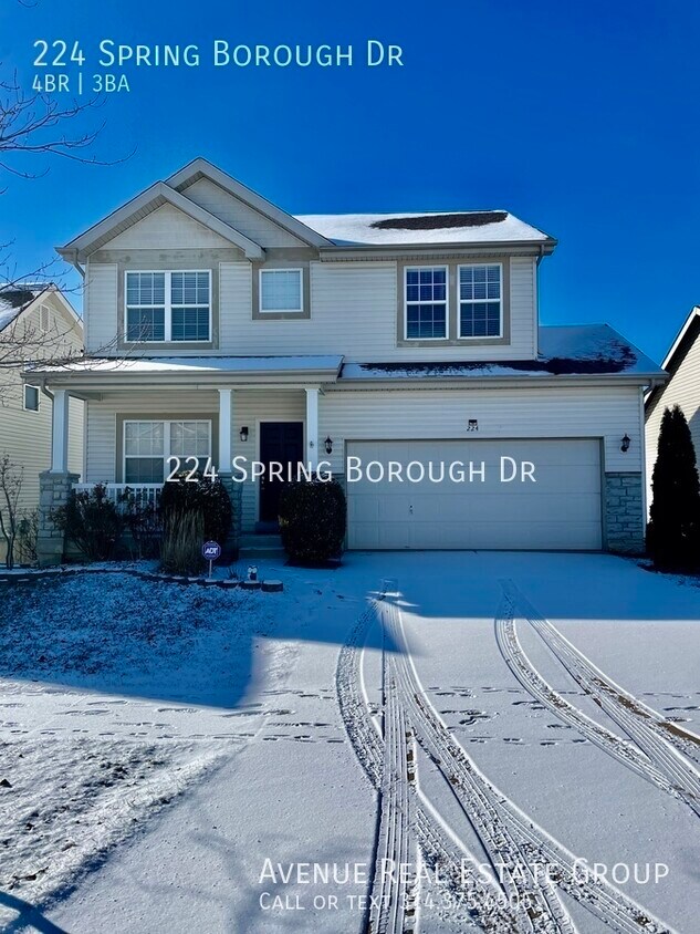 Primary Photo - Just Listed! - 224 Spring Borough Dr