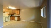 This single-floor space combines a functional kitchen with a generously sized open living area. The kitchen is fitted with warm-toned wooden cabinetry, both upper and lower, providing ample storage. It includes a dark countertop, a sink, and a dishwasher, with fluorescent lighting overhead to illuminate the workspace. A small decorative touch of flowers adds a welcoming element near the sink area. The kitchen transitions seamlessly into a large, open carpeted area, finished in neutral beige tones that carry throughout the space. The walls are painted in a soft, warm neutral hue, contributing to a calm and understated ambiance. White baseboards frame the perimeter of the room, offering a clean contrast to the carpeted flooring. The ceiling is smooth and unadorned, maintaining a simple, functional aesthetic. The open layout of the main area offers flexibility for various furniture arrangements, making it adaptable for living and dining purposes. Overall, the space presents a straightforward, practical design with a cohesive neutral palette.