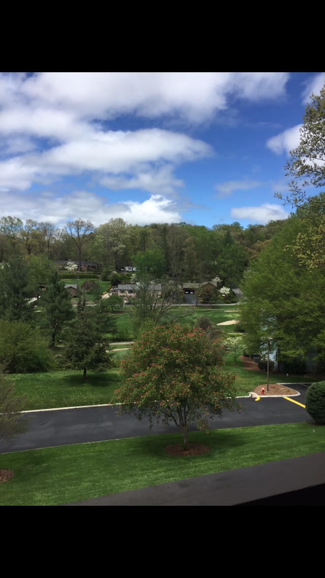 Photo - 87 Willow Rd House