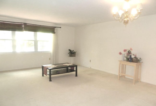 Building Photo - 17 Theo Ln