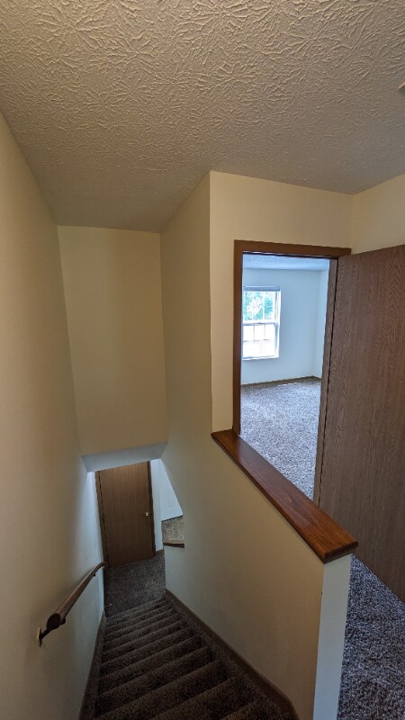 Foto del edificio - 127 Taylor Ave