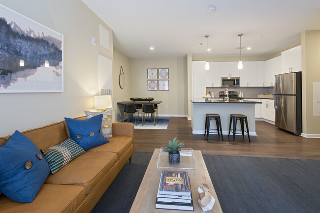 Kitchen and living area - Avalon Somers