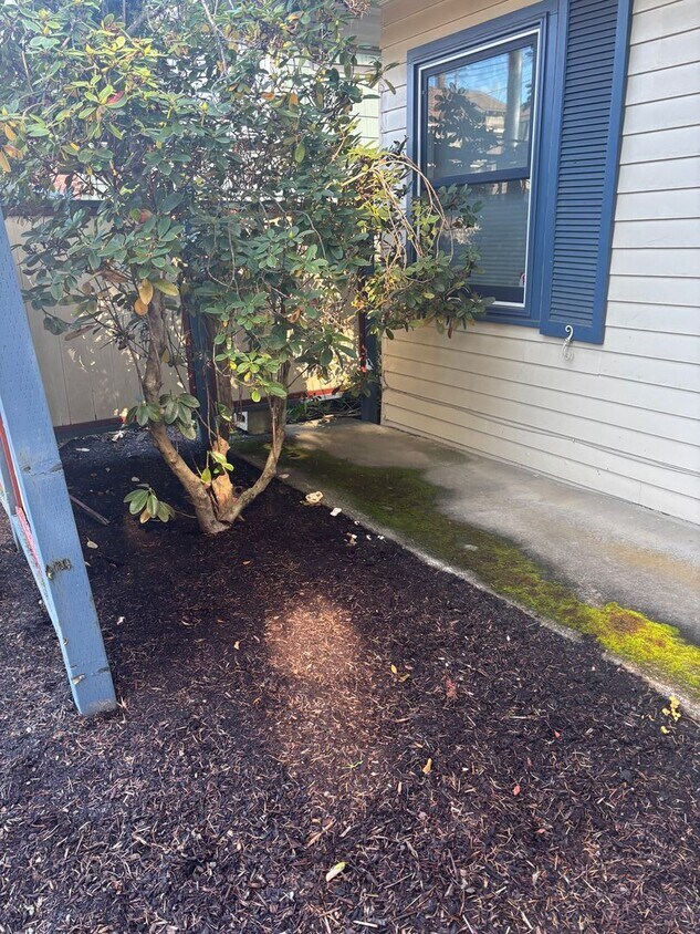 Foto principal - Enjoy 1.125 Acres near Downtown McMinnville