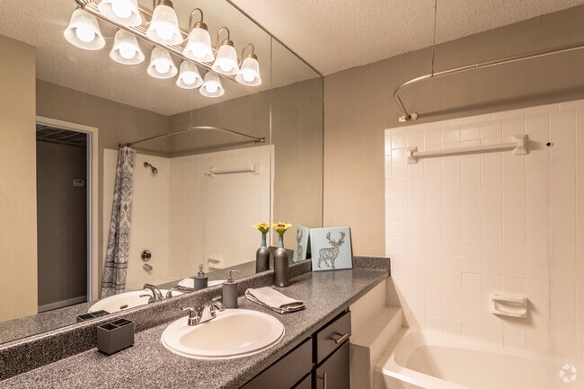 1 dormitorio, 1 baño - 670 pies cuadrados - Sky at Salado Creek