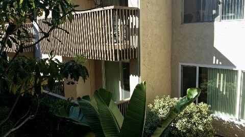 Foto del edificio - La Jolla 2bed 2bath, hardwood floors, pati...