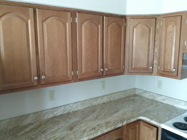 Granite countertops in Kitchen - 2069 Cheshire Forest Ct