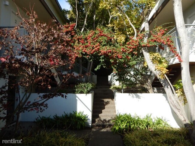 Building Photo - 105 Belvedere Dr
