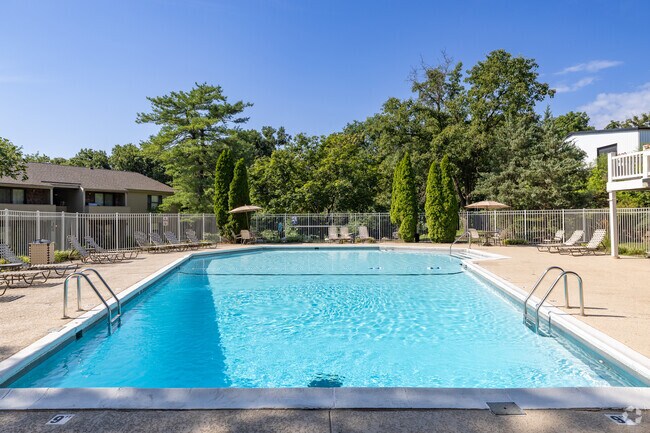 Piscina - Forest Woods