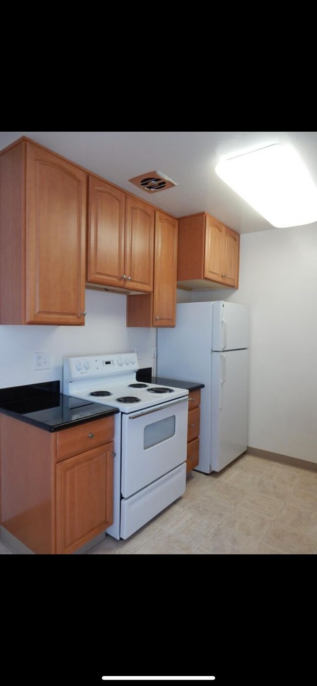 Building Photo - 1523 Schiller St