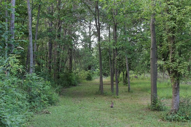 Back yard -- shared with tenants in other unit. Bunny not guaranteed. - 9331C Tallmadge Road