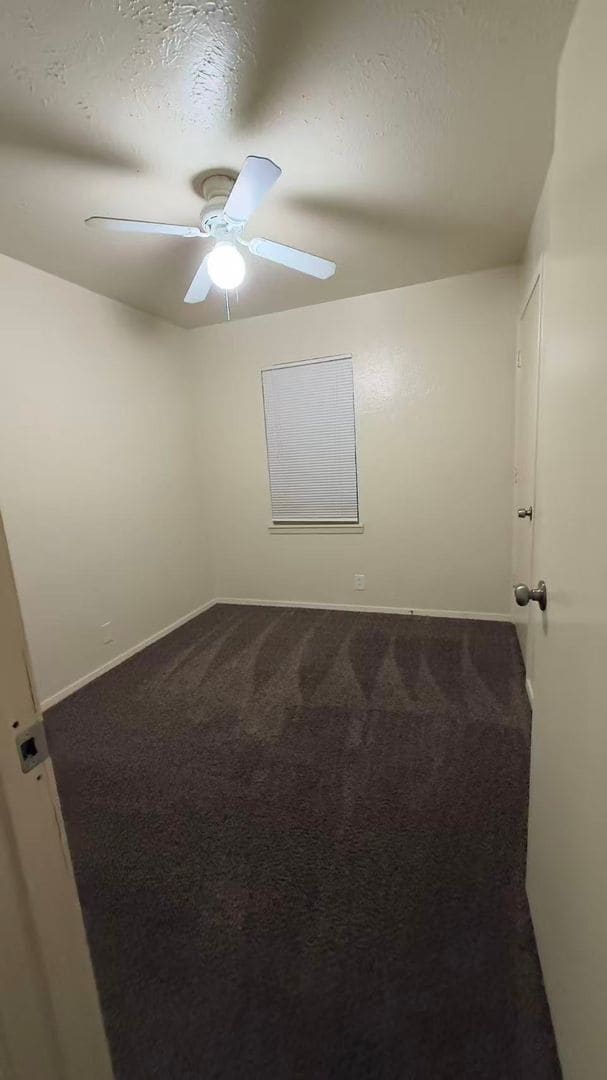 Photo - Beautiful 3 Bedroom 1.5 Bathroom in Plano! House