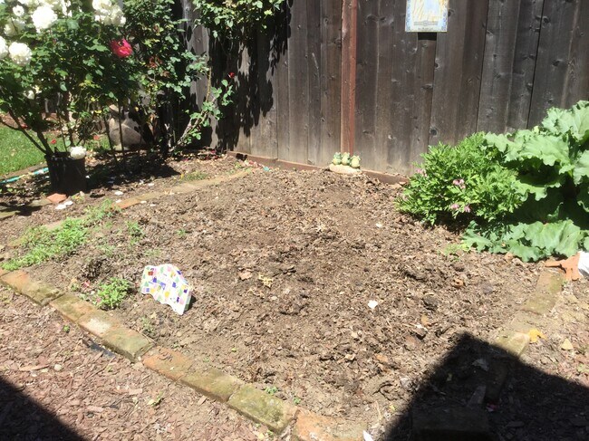 Vegetable garden space - 11 Marin St
