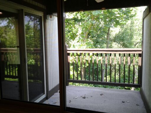 Balcony - 1446 Cliff Ct