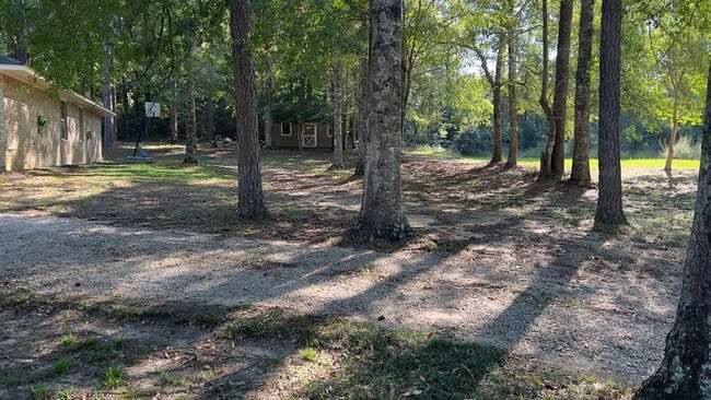Building Photo - 161 Castor Plunge Rd