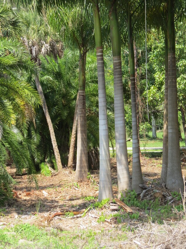 Reserva en Palmesta - 27420 Palmesta Cir