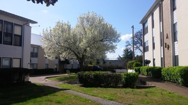 Foto del edificio - 246 White Bridge Rd