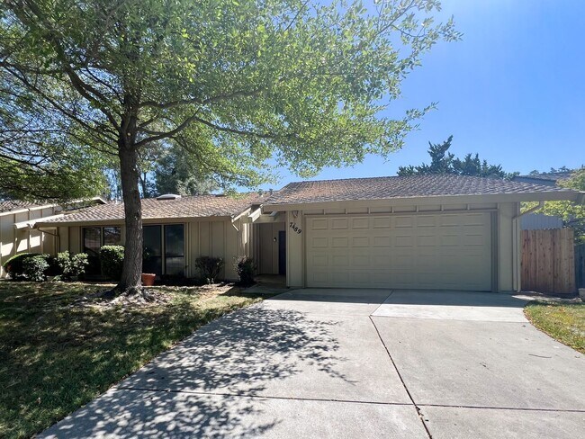 Building Photo - Newly Renovated 2 Bed, 2 Bath Home