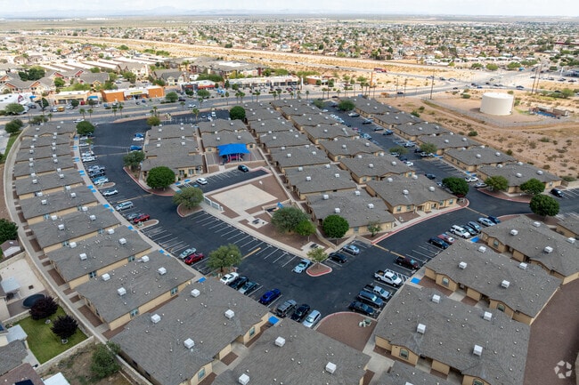 Aerial Photo - Patriot Palms