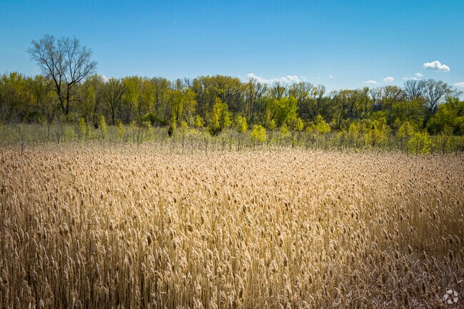 Lynwood is the hidden gem of Illinois where rural charm blends with small town living.